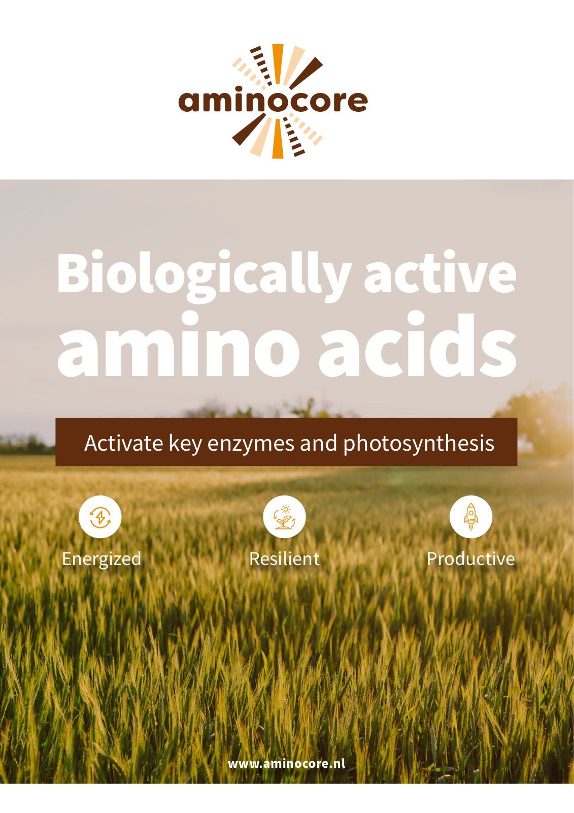 Cover of the Aminocore product brochure
