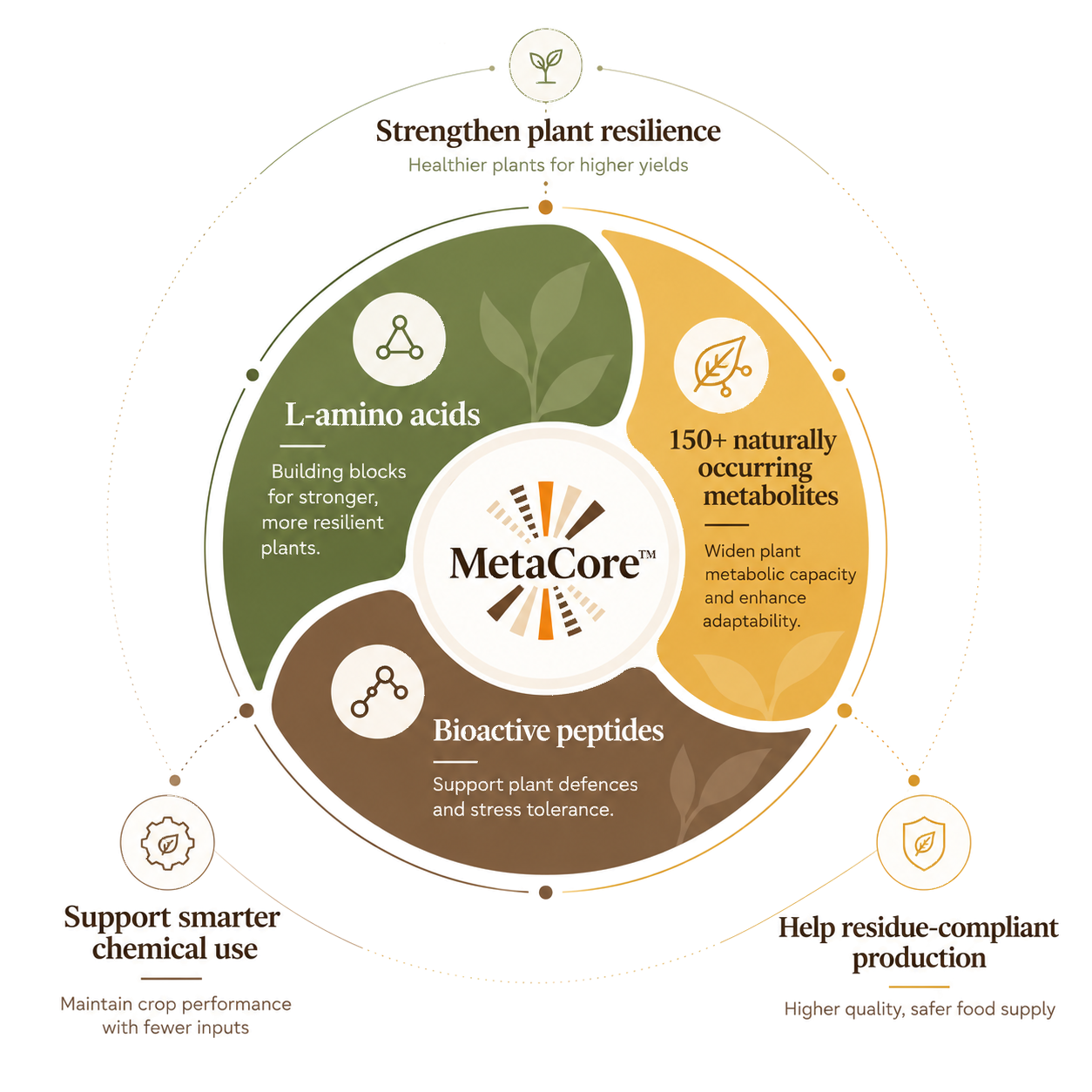 Infográfico MetaCore™: L-aminoácidos, peptídeos bioativos e mais de 150 metabólitos de ocorrência natural em torno do MetaCore™, ligados ao fortalecimento da resiliência das plantas, ao uso mais inteligente de químicos e à produção em conformidade com os limites de resíduos.