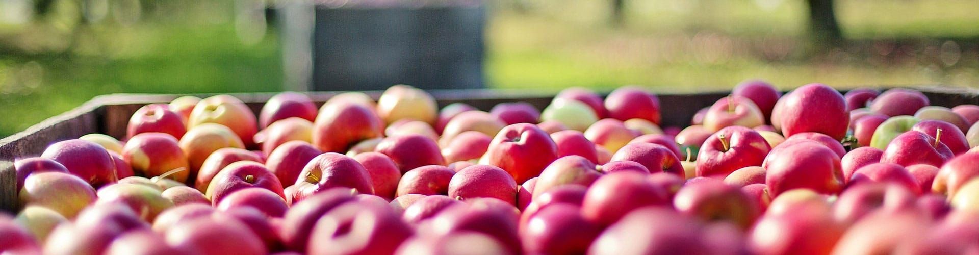 Organic certification of Aminocore products