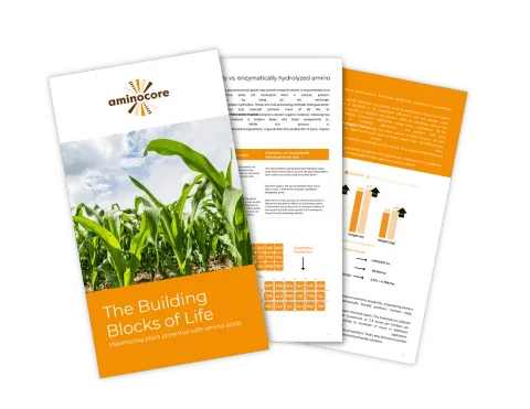 Preview of the Aminocore whitepaper “The Building Blocks of Life”
