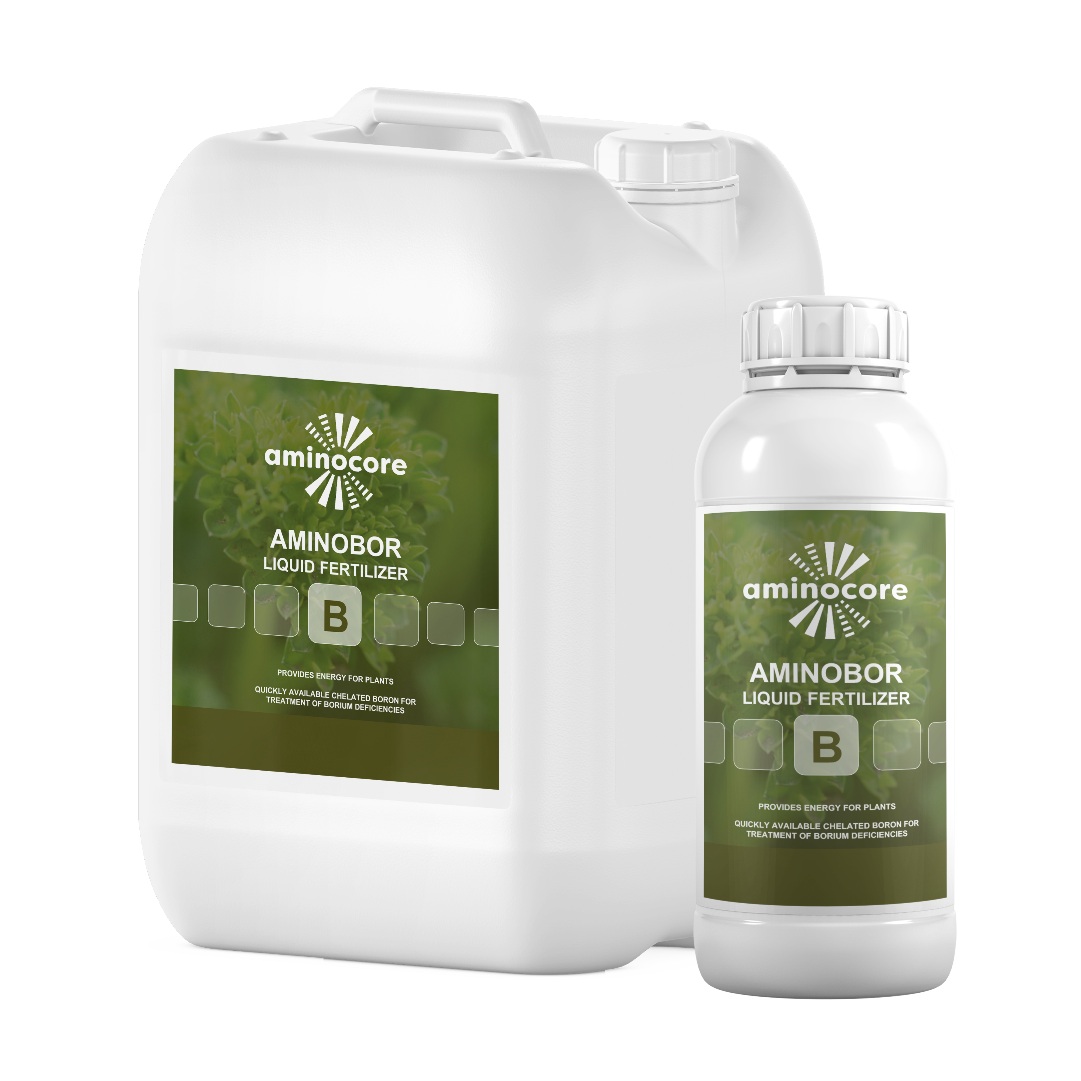 amino acids with borium