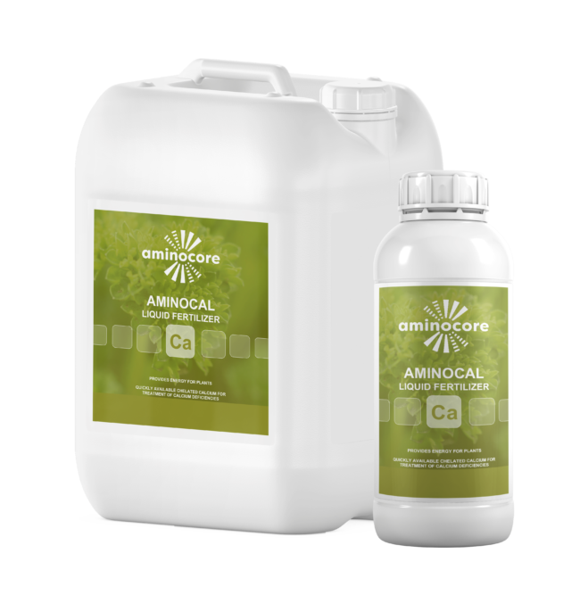 Amino acids with calcium