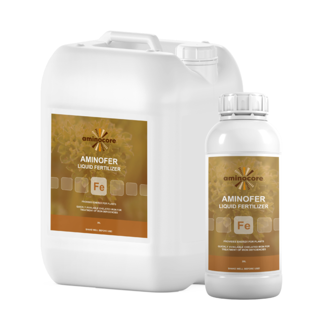 Amino acids with iron