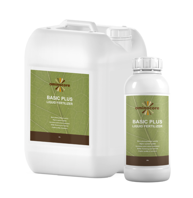 Aminocore basic plus