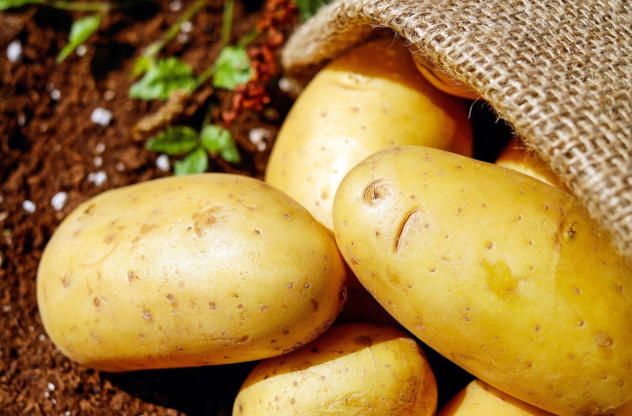 potatoes-1585060_1280 organic food