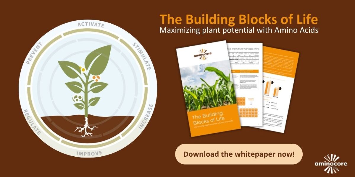 Download the whitepaper and learn more about amino acids