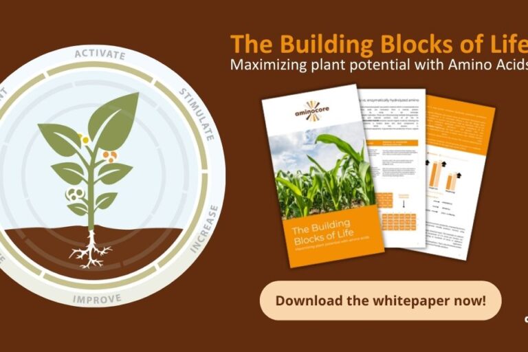 Download the whitepaper and learn more about amino acids